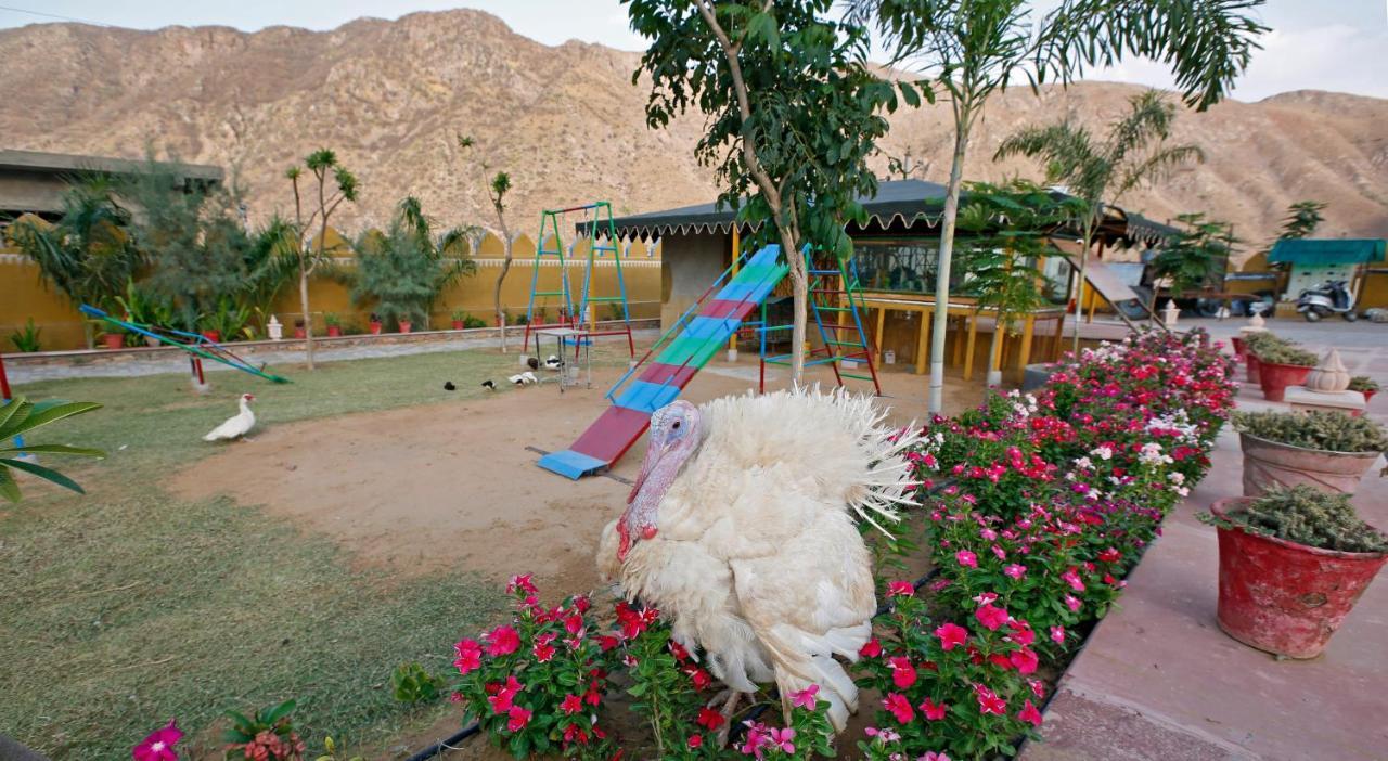 Serene Aravali Resort, プシュカル エクステリア 写真